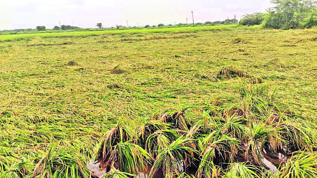●జిల్లాలో 106 పునరావాస కేంద్రాలు 2
