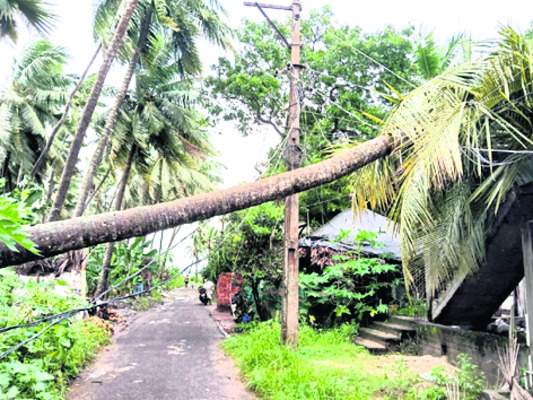 హడలెత్తించిన మోంథా4