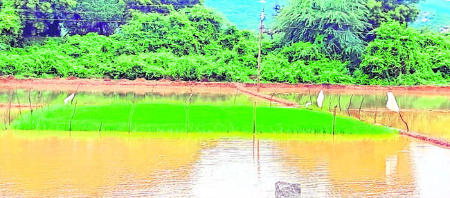 వణుకుతున్న తీర ప్రాంతవాసులు 
10