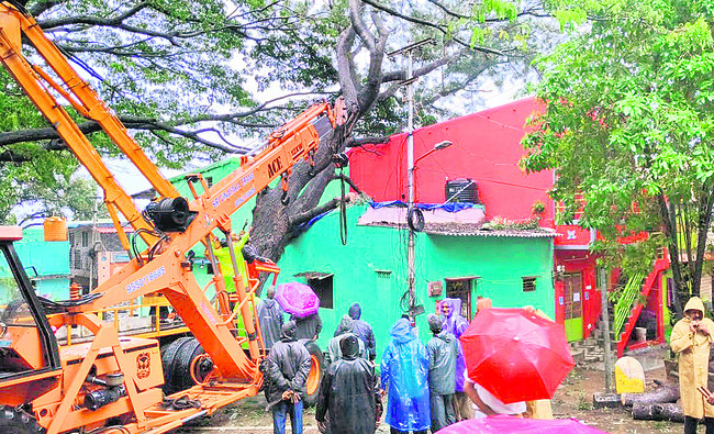 వణుకుతున్న తీర ప్రాంతవాసులు 
5