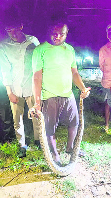 వృద్ధురాలి ఆత్మహత్య1