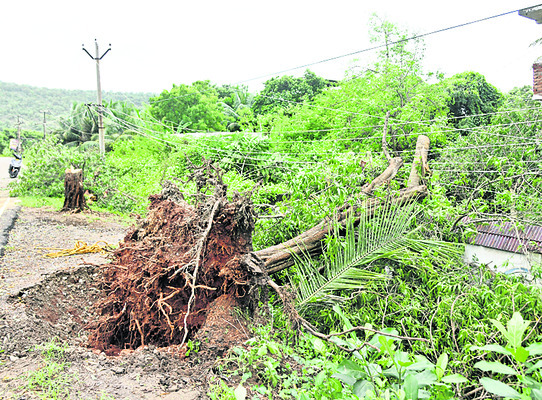 విశాఖపై పంజా1