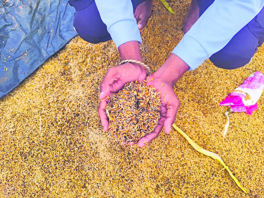 ఆగం చేసిన వాన1