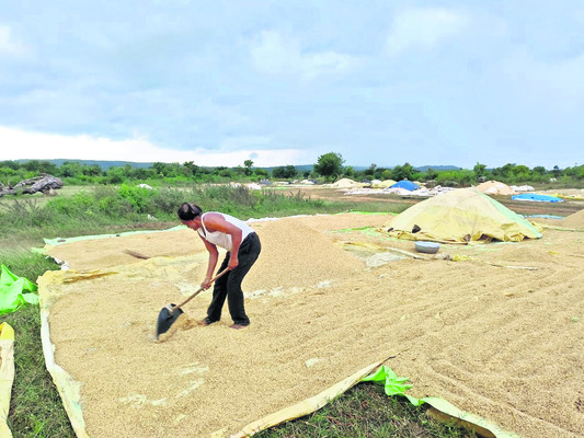 రైతుల్లో ‘మోంథా’ గుబులు!1