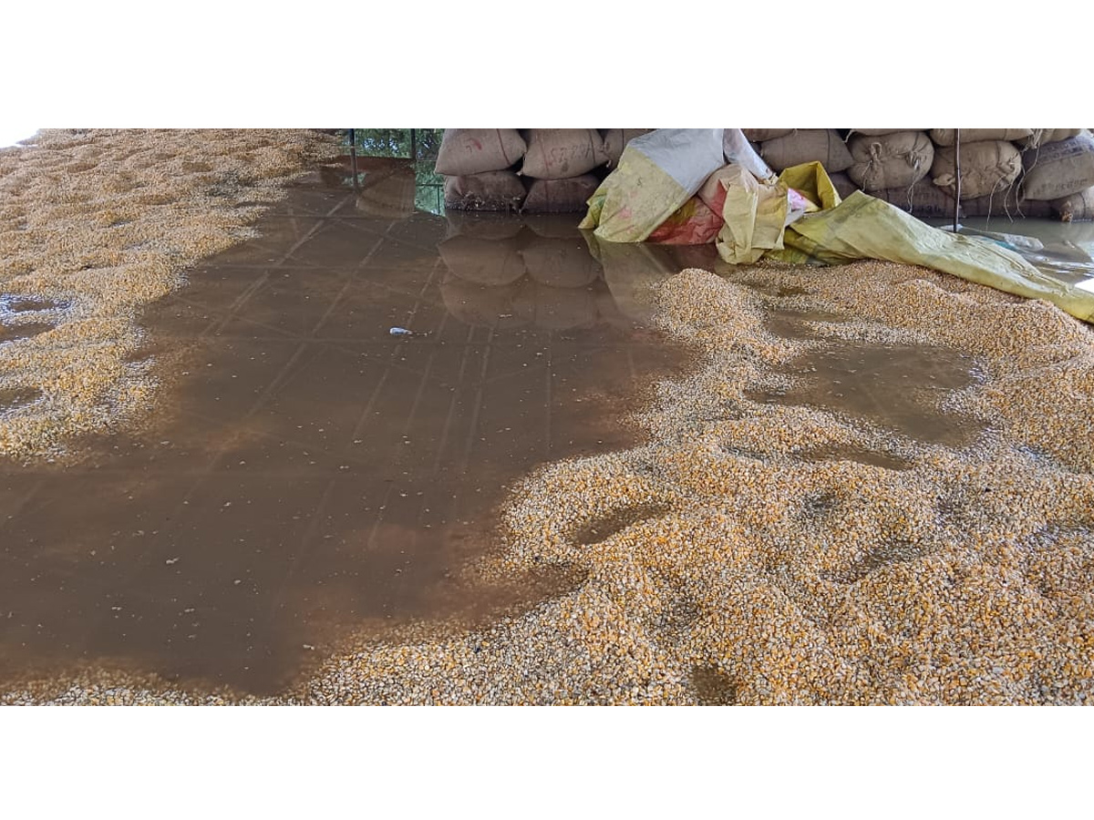 Cyclone Montha Hits Andhra Pradesh Photos14