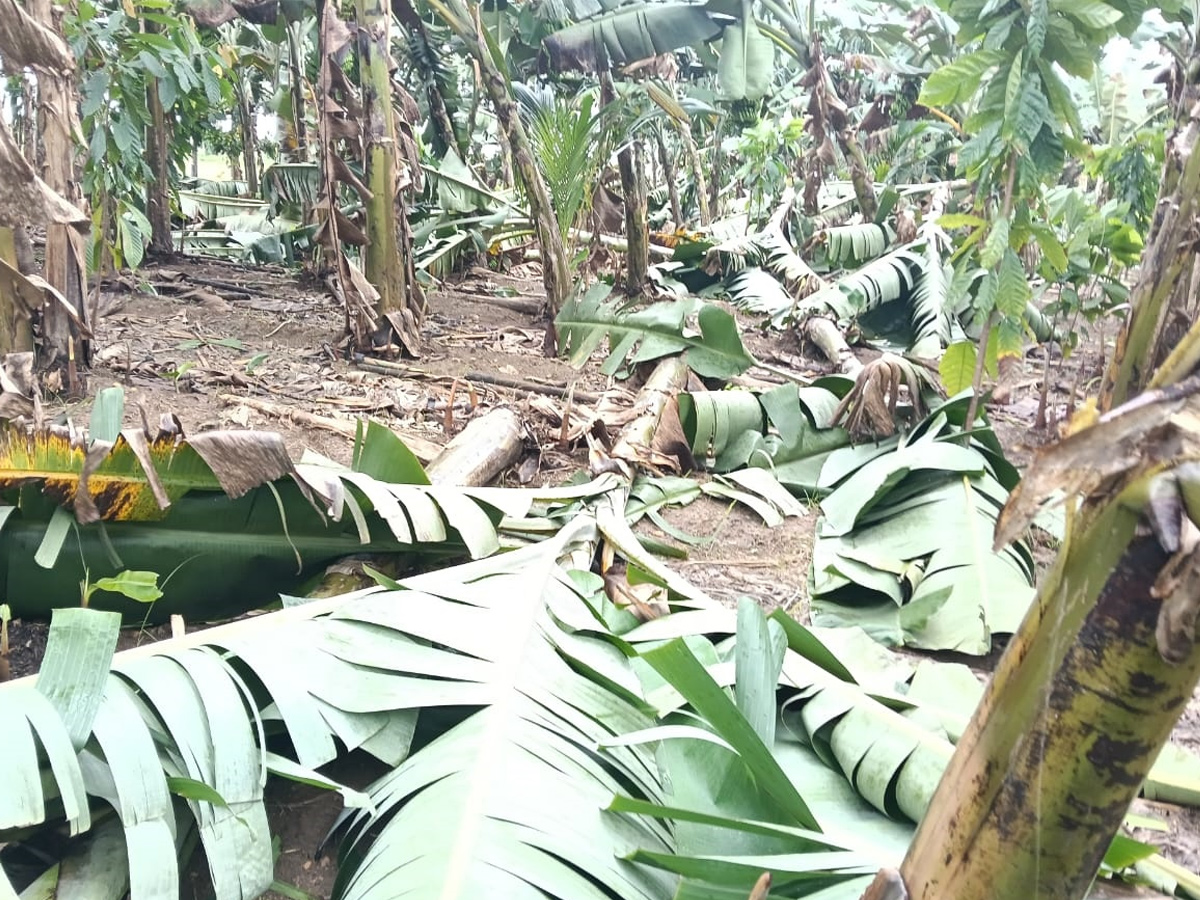 Cyclone Montha Hits Andhra Pradesh Photos18