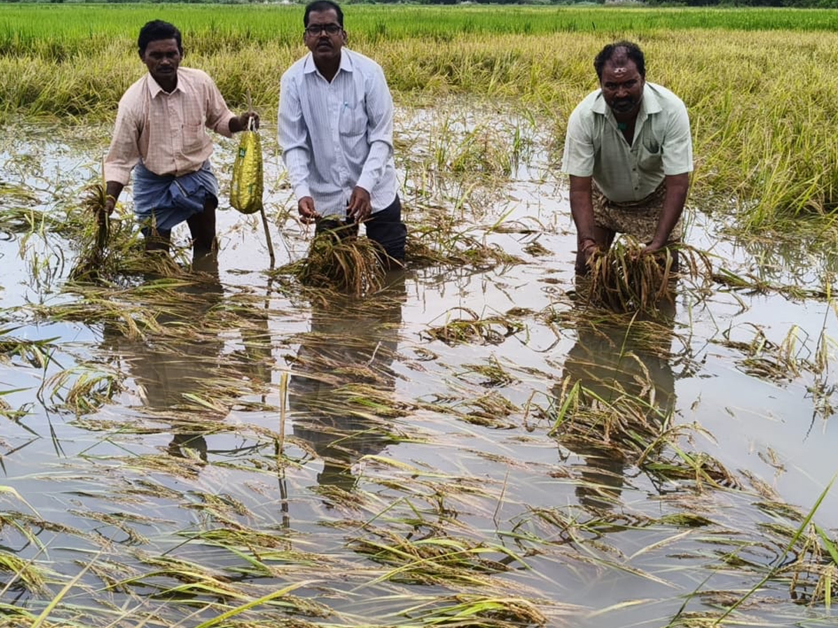 Cyclone Montha Hits Andhra Pradesh Photos25