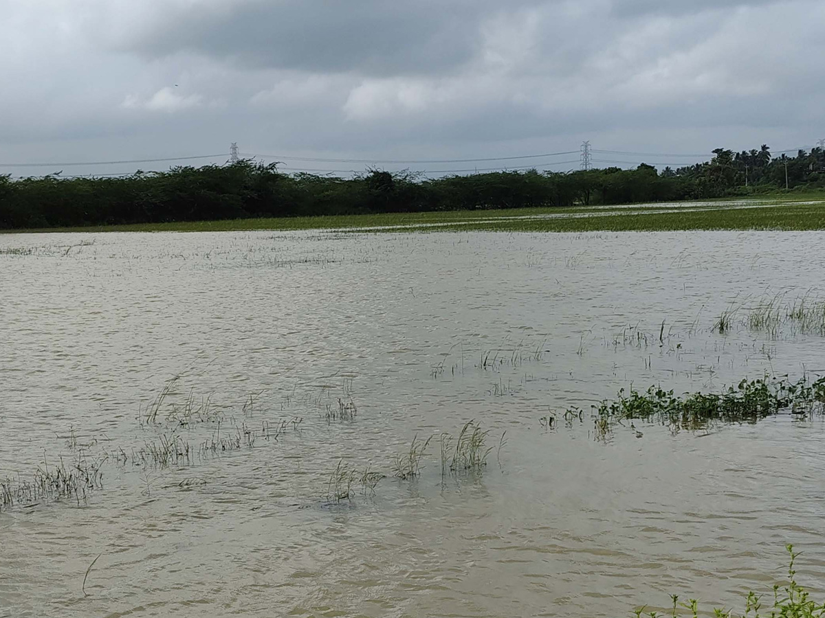 Cyclone Montha Hits Andhra Pradesh Photos26