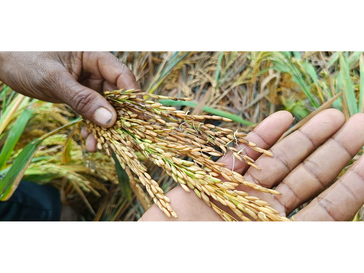 Cyclone Montha Hits Andhra Pradesh Photos28