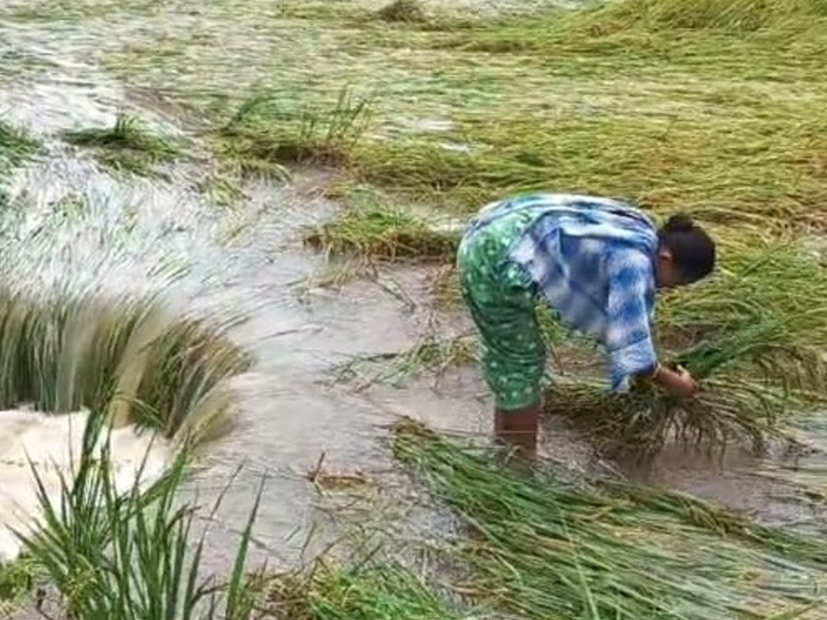 Cyclone Montha Hits Andhra Pradesh Photos29