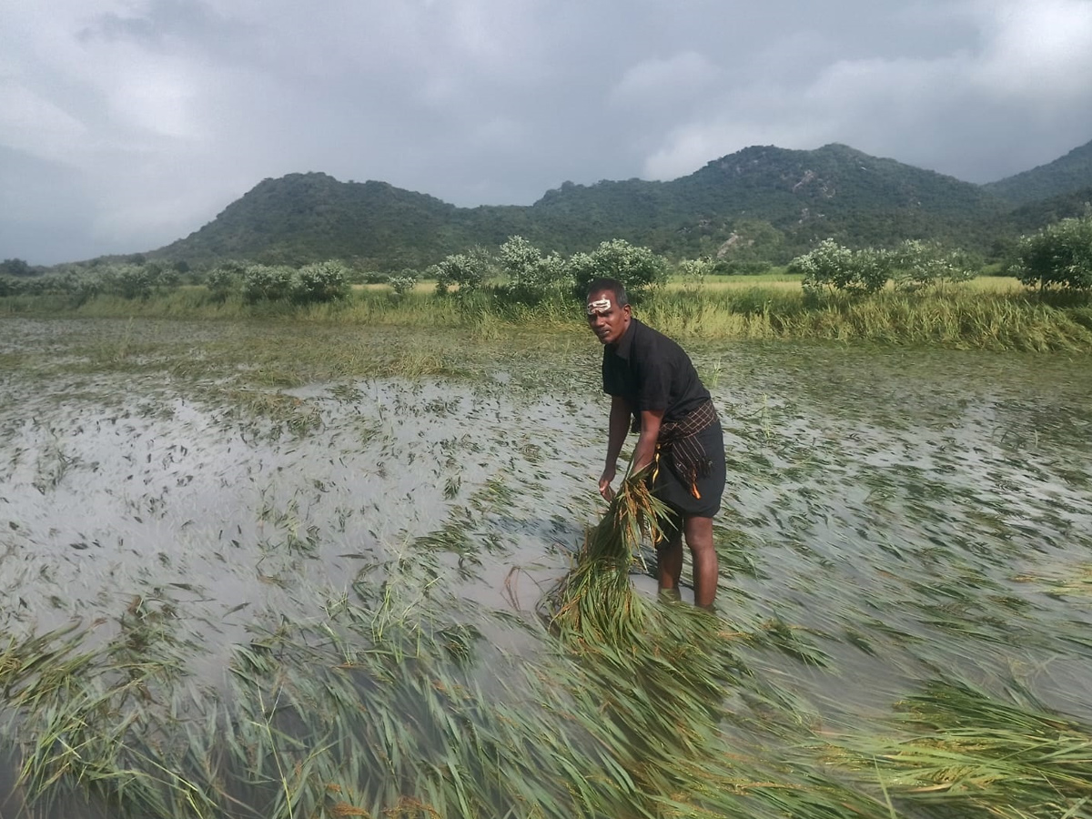 Cyclone Montha Hits Andhra Pradesh Photos30