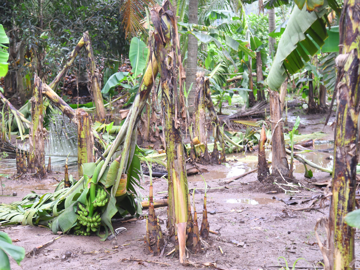 Cyclone Montha Hits Andhra Pradesh Photos33
