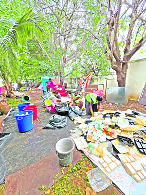 గ్రీన్మైనా ఇంపాక్ట్ ఇదీ
4