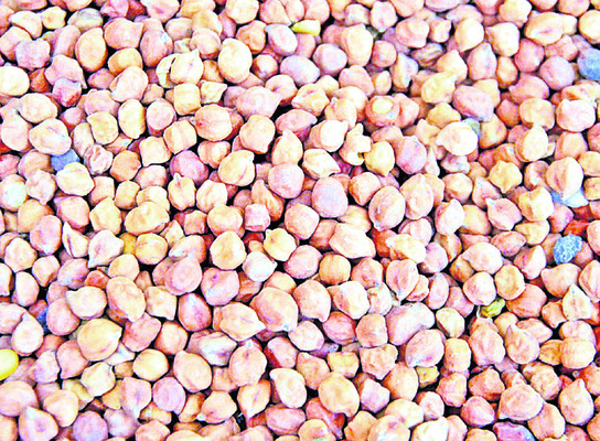 అట్రాసిటీ కేసుల్లో బాధితులకు న్యాయం జరగాలి 1