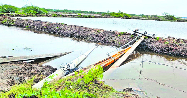 కృష్ణాజిల్లా2