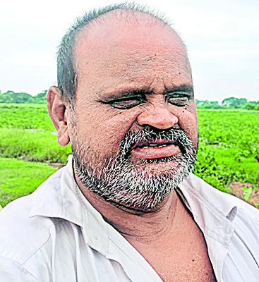 వరి పంట తీవ్రంగా దెబ్బతింది  
2