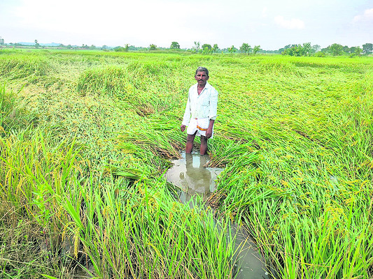 ఎడతెరిపి లేని వాన1