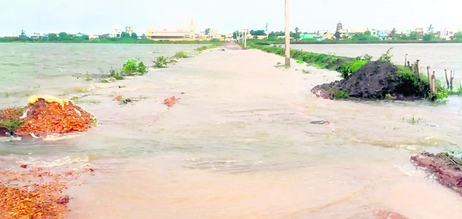 అపార పంట నష్టం 2