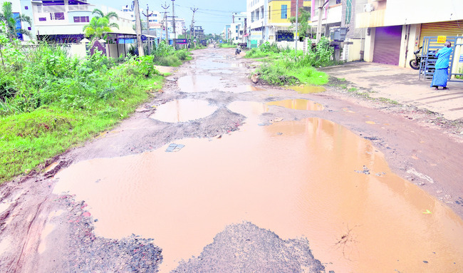 అపార పంట నష్టం 4