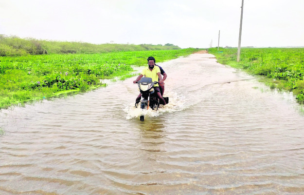 కొల్లేరులో కల్లోలం5