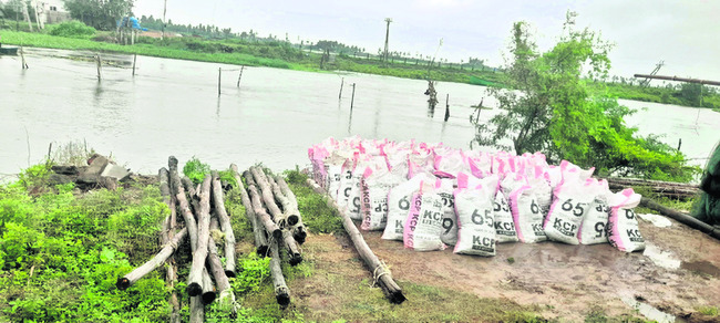 కొల్లేరులో కల్లోలం2