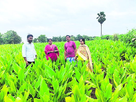 ఎస్సారెస్పీ 16 గేట్లు ఓపెన్2