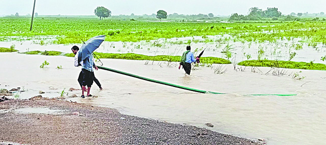 విజయవాడ సిటీ1