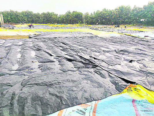 నిండా ముంచిన ‘మోంథా’4