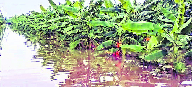 తుఫాన్ నష్ట నివేదిక2