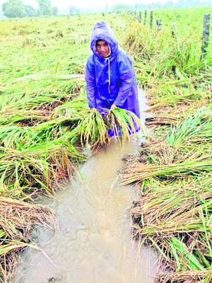 అన్నదాతల ఆశలపై నీళ్లు1