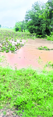 అతలాకుతలం..5