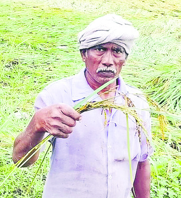 ముంచేసిన మోంథా5