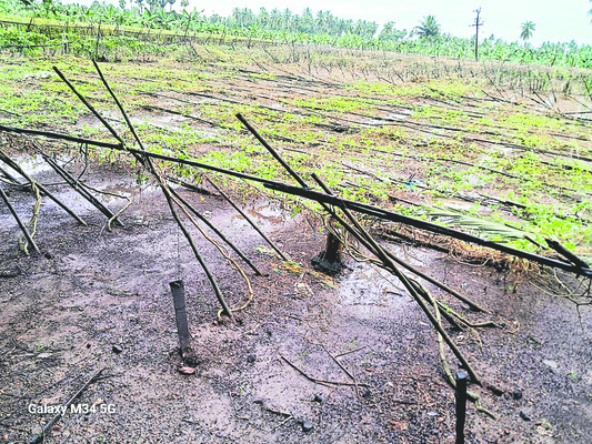 ముంచేసిన మోంథా1