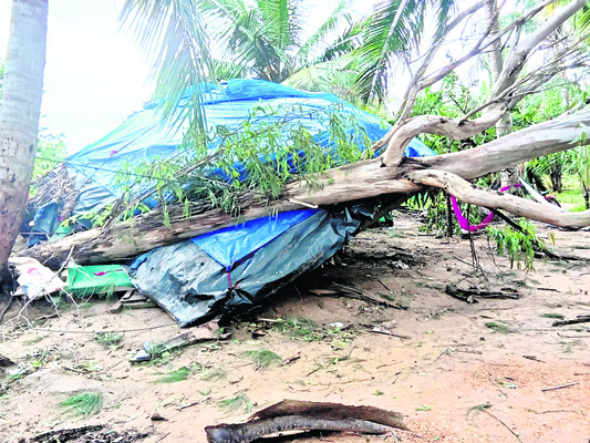 వరిని ముంచేసిన మోంథా 5