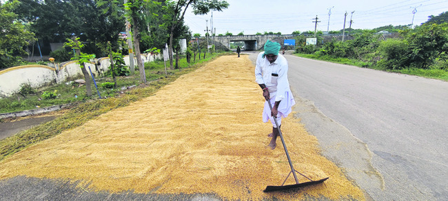 కల్లాల్లోనే కష్టమంతా.. 1