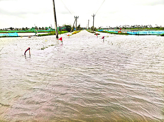 వరిగిన ఆశలు 2