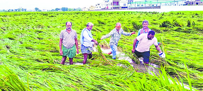 విజయవాడ సిటీ2