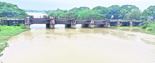 వరిని ముంచేసిన మోంథా 7