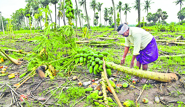 వరిగిన ఆశలు 1