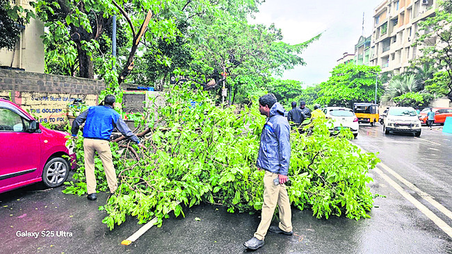 నష్టాన్ని మిగిల్చి..1
