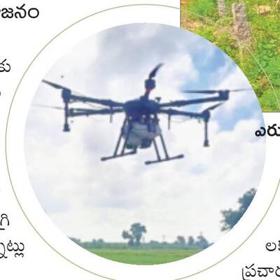 చెరుకు సాగుకు ప్రోత్సాహం1