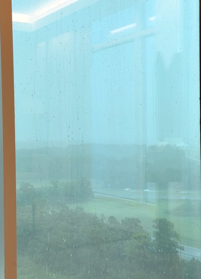 Priyanka Chopra had a fun time with her husband and daughter (Photos)9