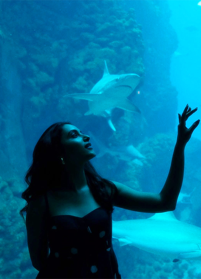 Tollywood Actress Priyanka Mohan in Abu Dhabi Photos15