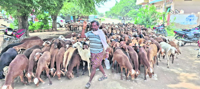 మూగరోదన..! 1