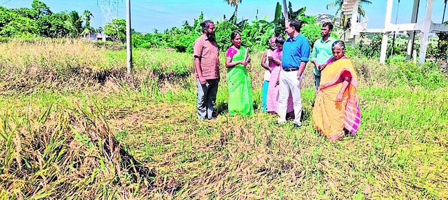 కన్నీటితో సాగు! 1