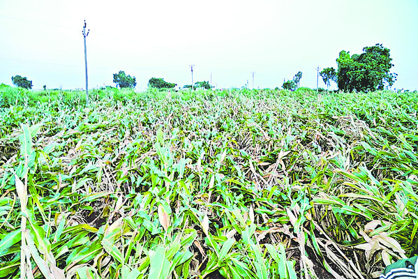 కన్నీళ్లు ఉబికి!1