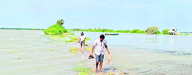 ఏరు దాటితేనే.. బతుకు పోరు2