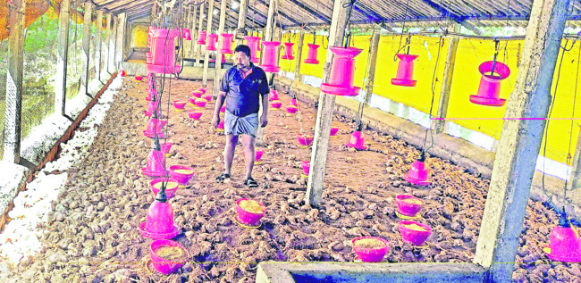 నష్టం కొండంత1