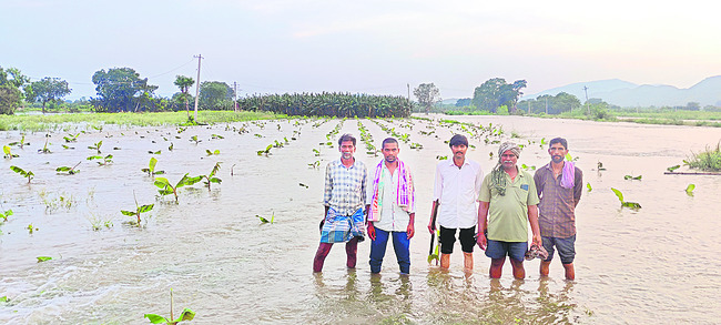 ఇరిగేషన్.. కళ్లు మూసెన్! 1