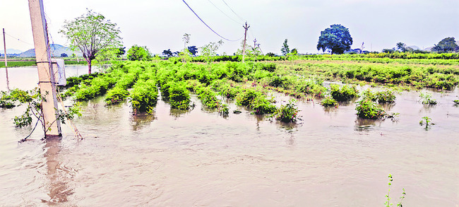ఇరిగేషన్.. కళ్లు మూసెన్! 3